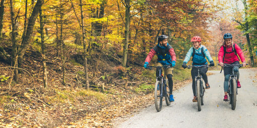 Three young adults bicyling down a wooded trail