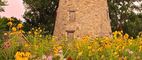 Old, brick mill with wildflowers