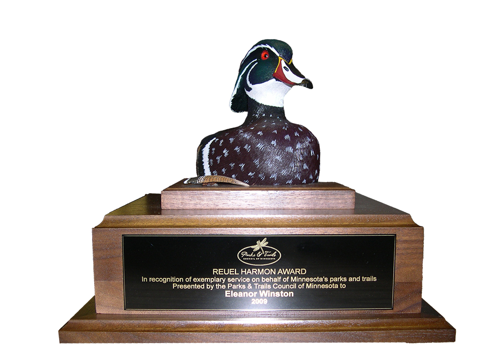 Carving of a woodduck