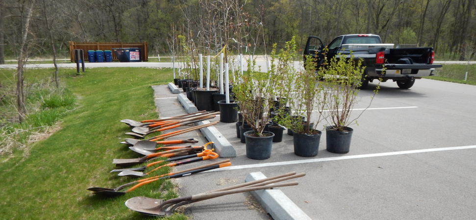 shovels and trees that are ready to be planted