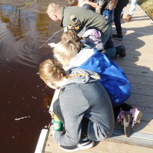 Kids look on as a naturalist tries to find something in the water with a stick