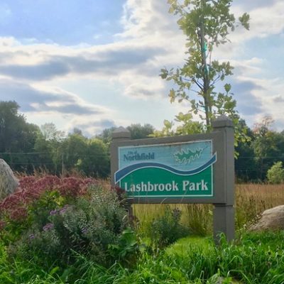 lashbrook park sign with native plants and tree