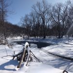 snowy creek with animal tracks on bank
