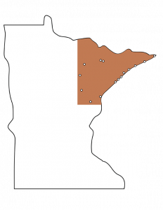 Minnesota Outline with NE corner tan