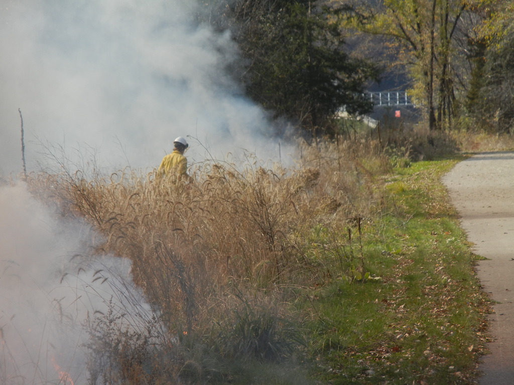 a worker keeps an eye on the controlled burn