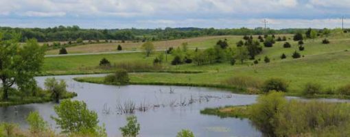 The rolling grasslands with pond at Sibley State Park