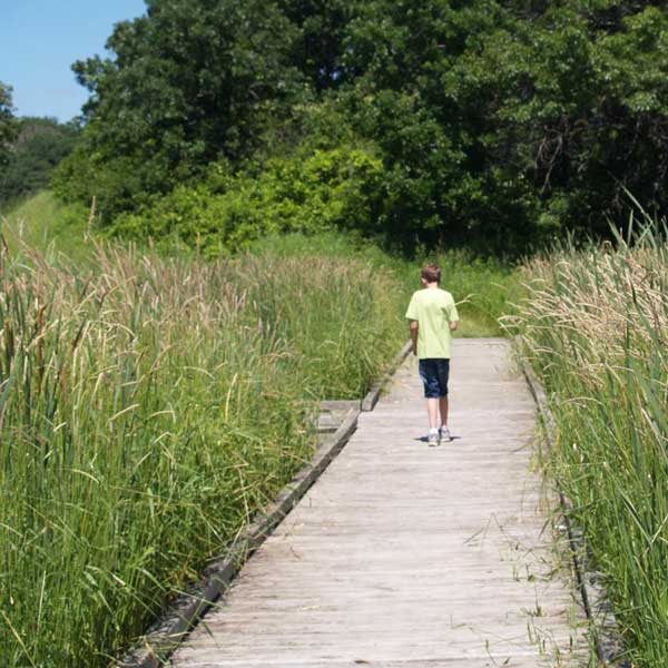 Boy walking on pond boardwalk at Sibley State Park