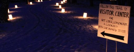 candles along path in the snow at night