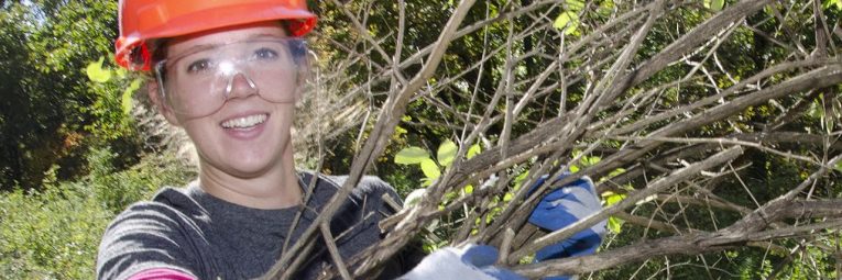 woman carrying sticks in DNR hard hat