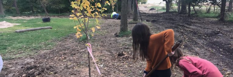 two girls use a shovel to plant a tree