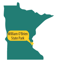 Minnesota outline with star at William O'Brien State Park