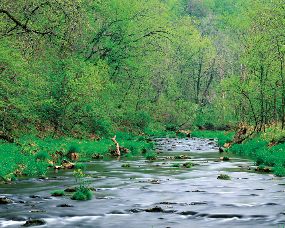 Webinar: Whitewater River Watershed
