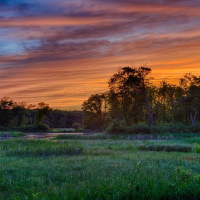 Dramatic sunset over a marsh at Lake Maria State Park