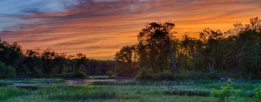 Dramatic sunset over a marsh at Lake Maria State Park