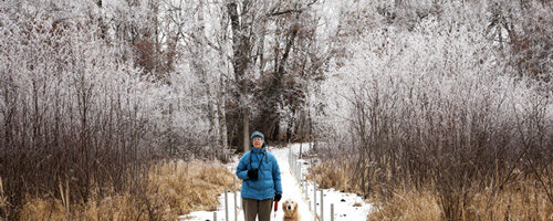 hiker in winter on boardwalk