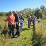 Group walking through prairie and looking at plants