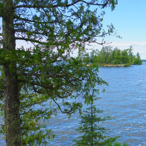 View of island at Lake Vermilion State Park