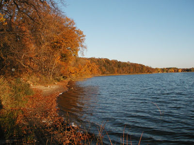 fall trees around lakeshore