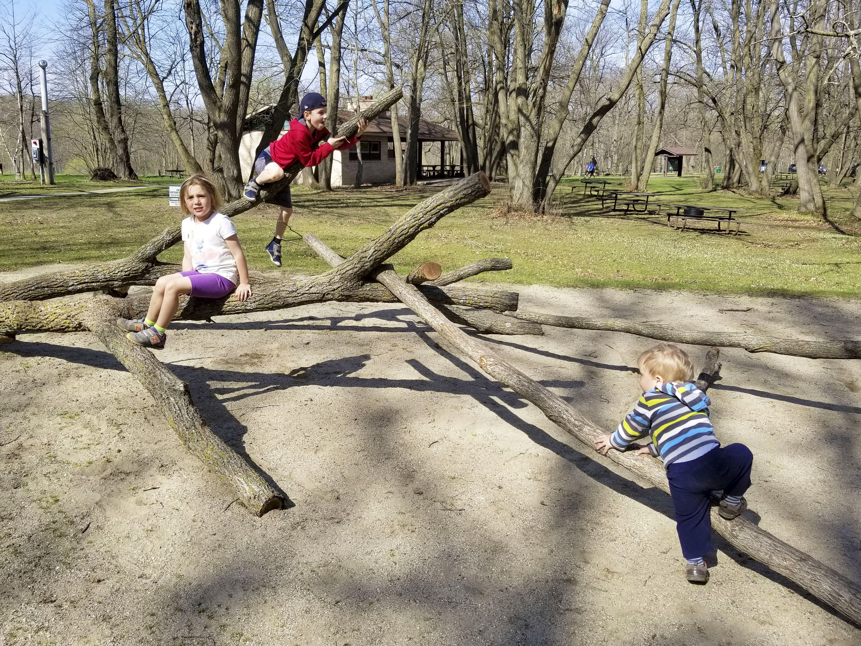 Webinar: Friends Groups & Nature Play Areas