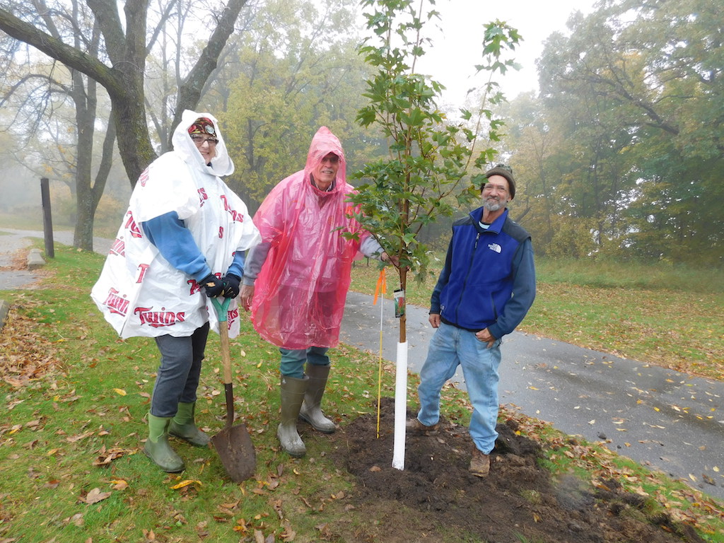 Three people dressed in raingear planting a tree