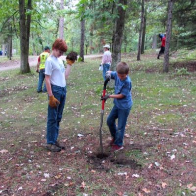 Kids dig a hole in order to plant a tree