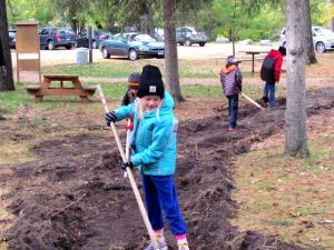 A young girl rakes the soil