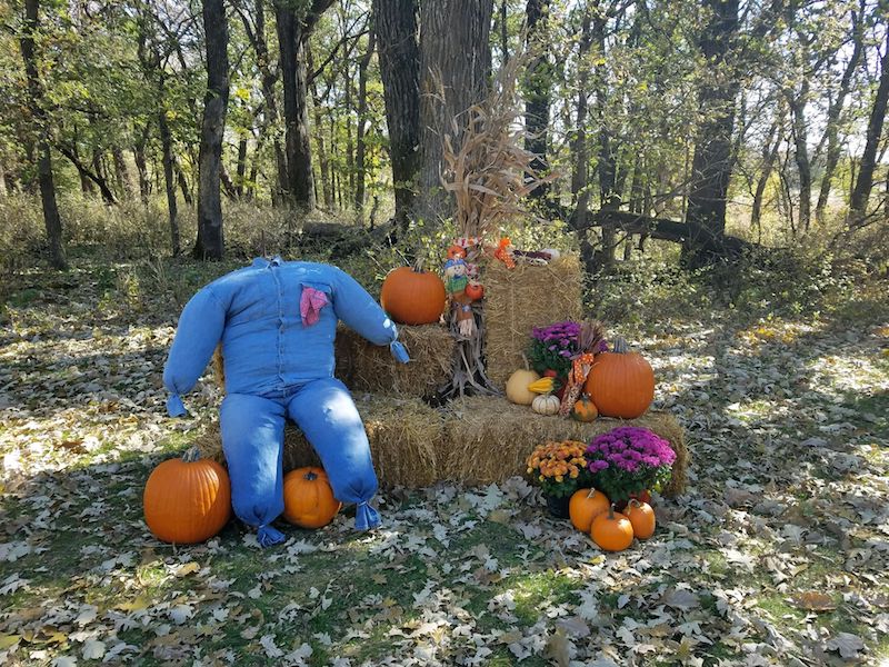 Fall decorations with pumpkins, flowers, and bales