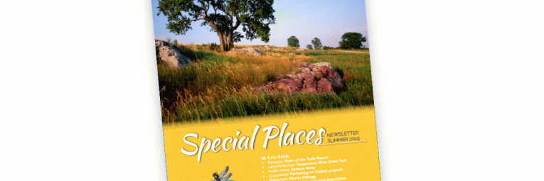 Special Places Newsletter cover