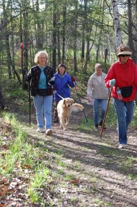Group and dog walking on trail