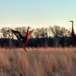 bird statues in the prairie