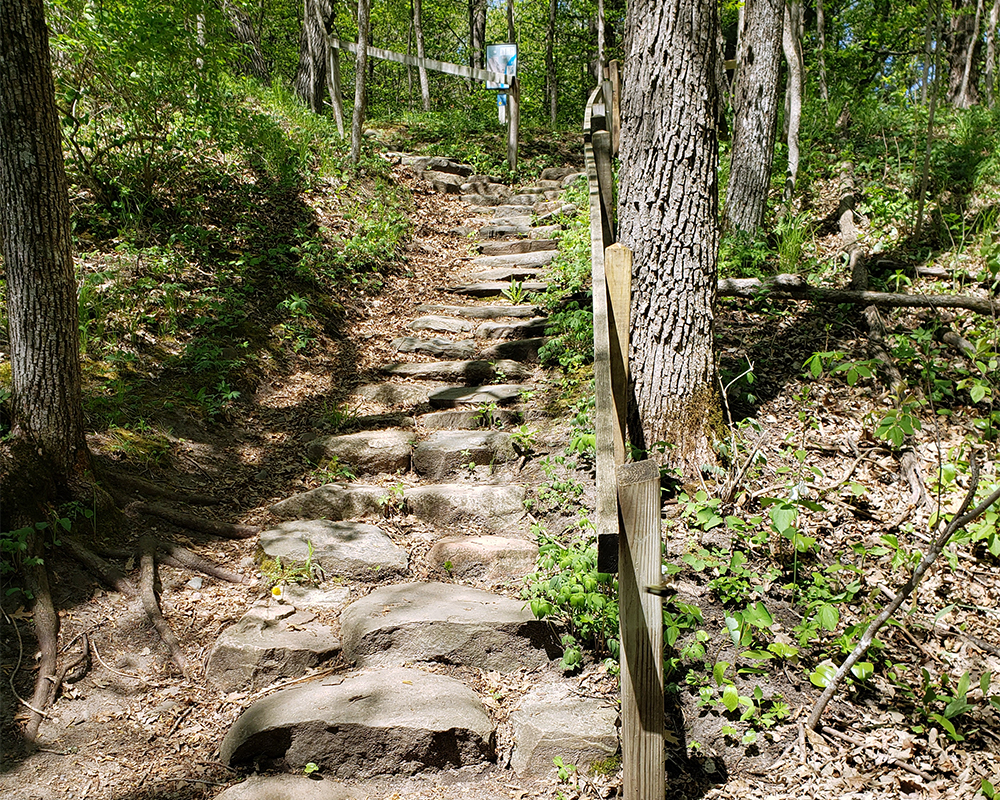 Stone steps leading up hill
