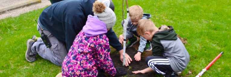 kids filling a hole of a newly planted tree
