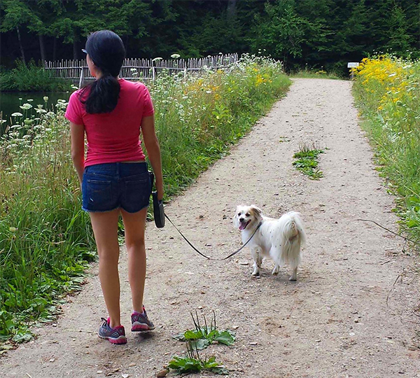 Woman walking small dog on dirt trail