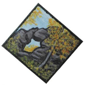 image of diamond patch with rock and tree