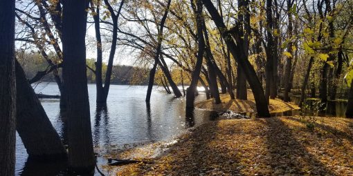 Webinar: Understanding Minnesota’s Changing Climate
