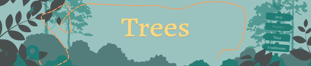 Banner reads: trees