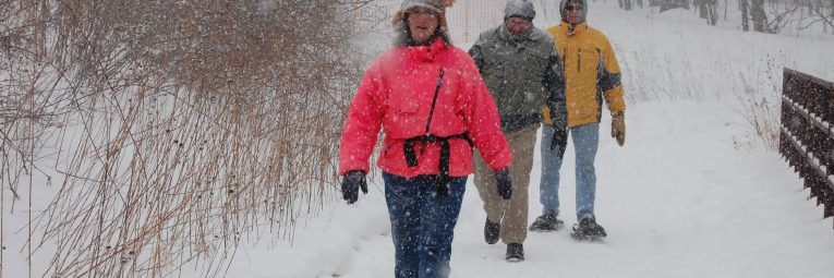 people snowshoeing while it snows
