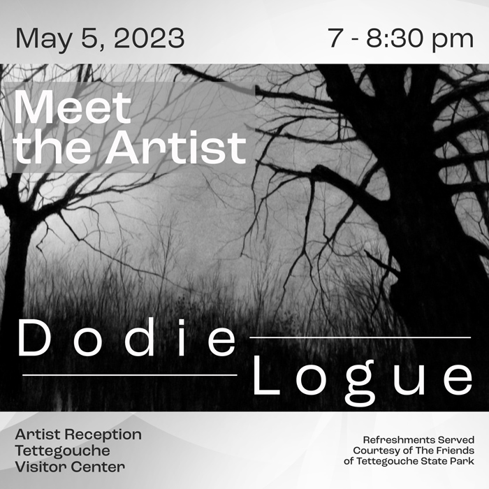Artist Reception for Dodie Logue