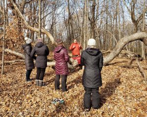 Five people in winter coats gathered in the forest