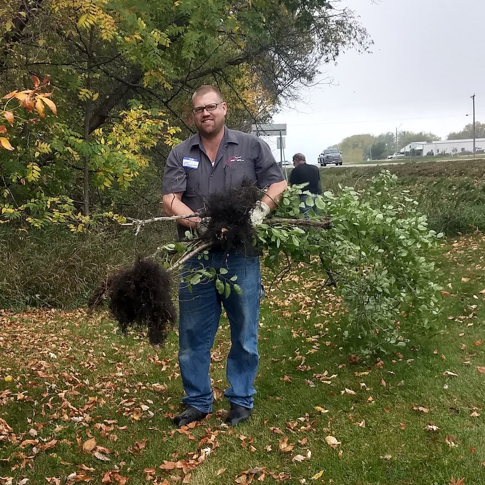 volunteer moves pulled buckthorn to a pile