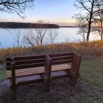 Wooden bench along lakeshore