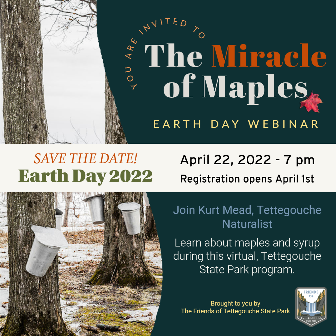 Webinar: The Miracle of Maples