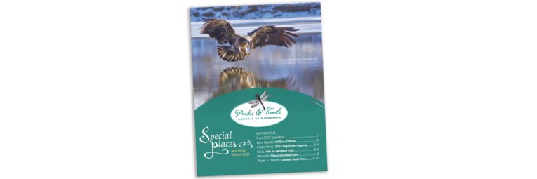 Newsletter cover features an eagle gliding over water