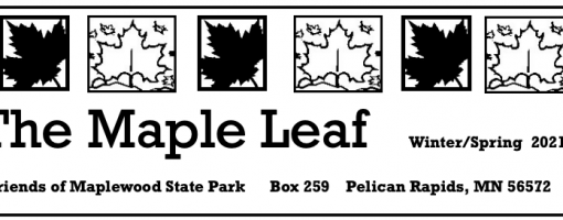 The Maple Leaf-Header-winter2021