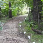 candle luminaries are placed along a walking trail in the forest