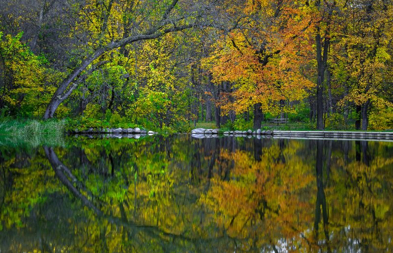 Colorful autumn trees reflecting in lake at Camden State Park
