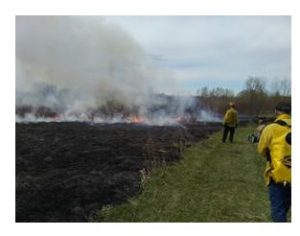 volunteers and staff monitor a controlled burn