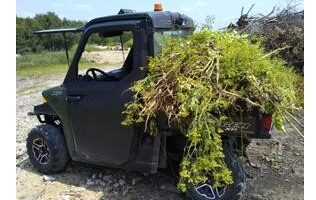 invasive plants loaded to transport
