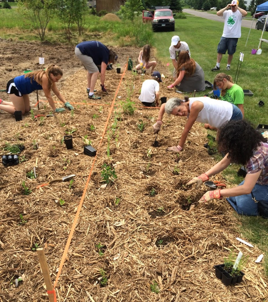 A number of folks plant prairie plants in a flower bed