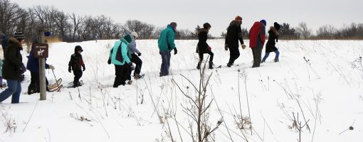 snowshoers walk on the trail in the prairie